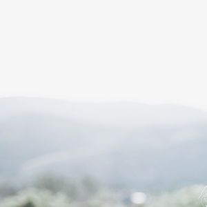 Meet your Posher, Josie